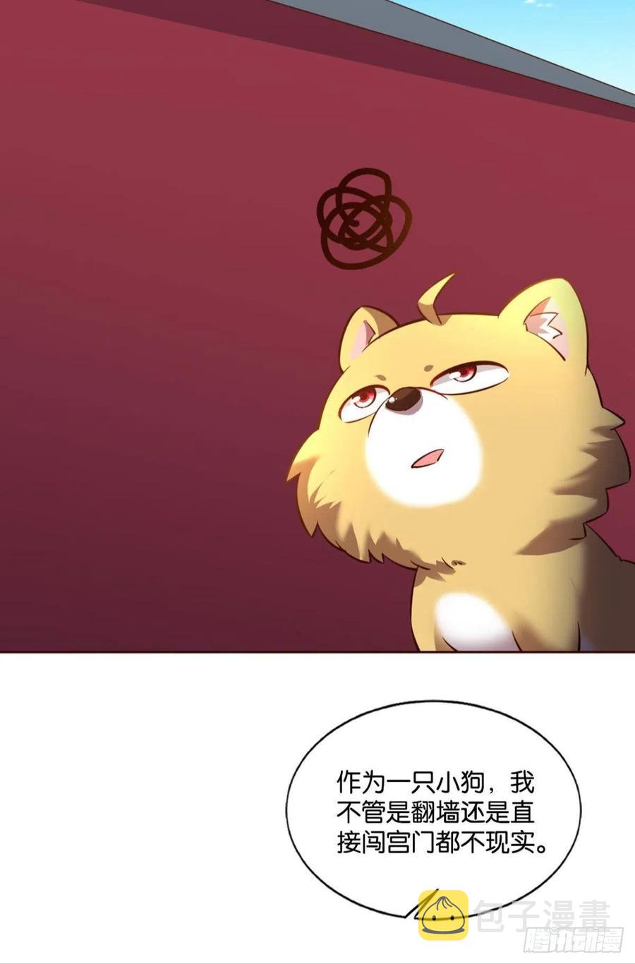 梦开始的地方23