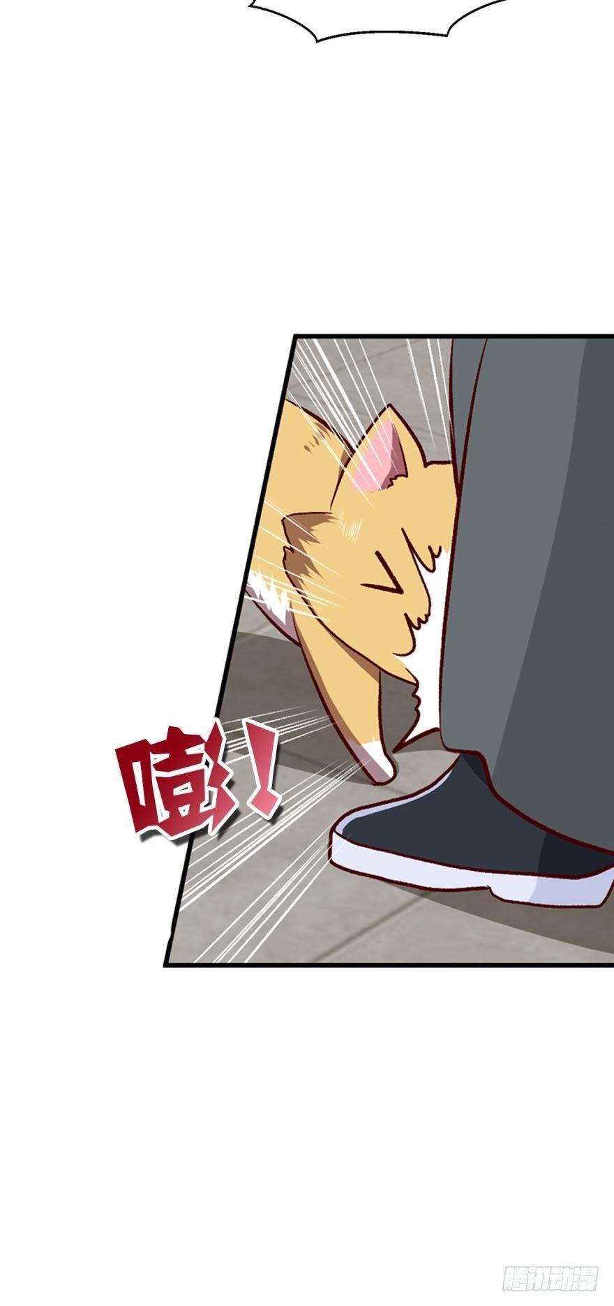 忠义无双5