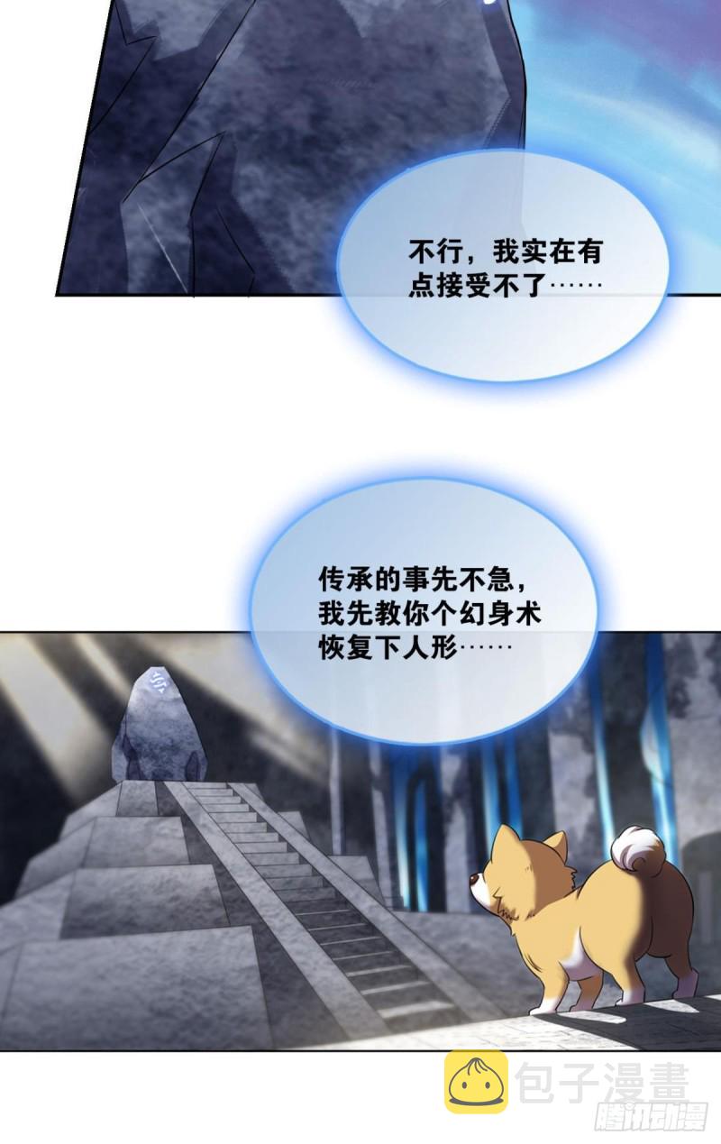 再见了，狗系统！30