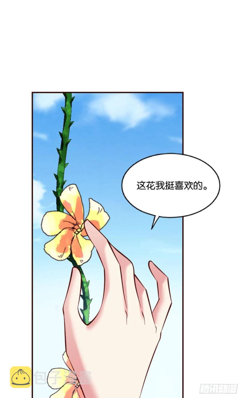 花与蝶24