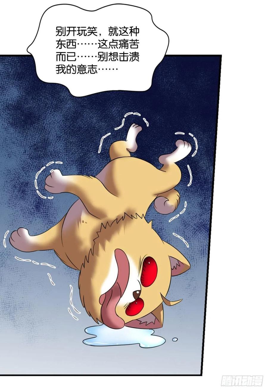 企业级救场37