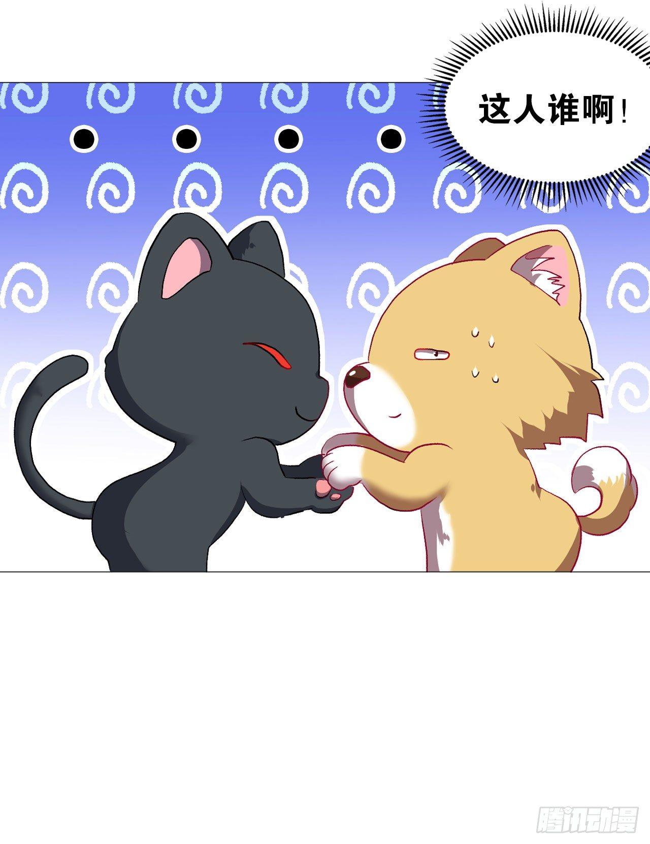 稳如老狗65