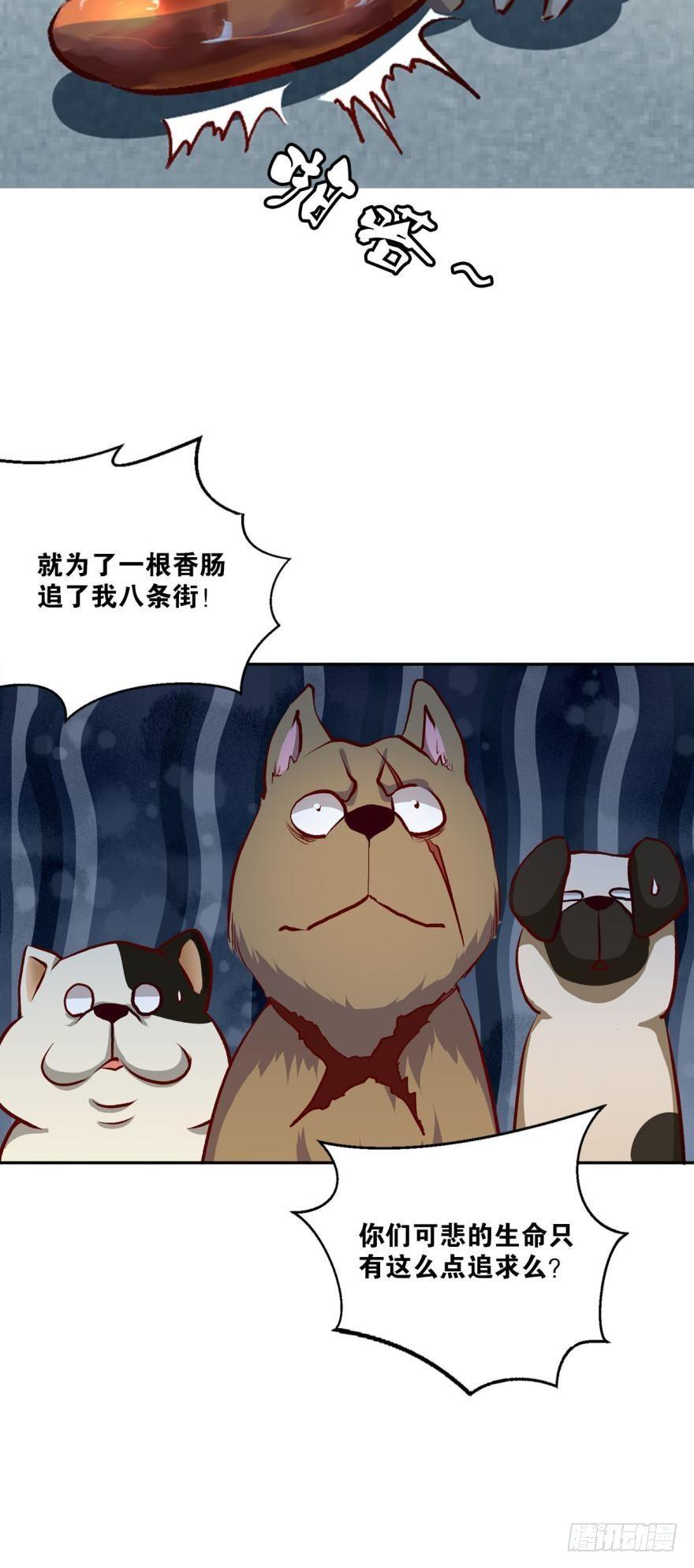 狗日子9