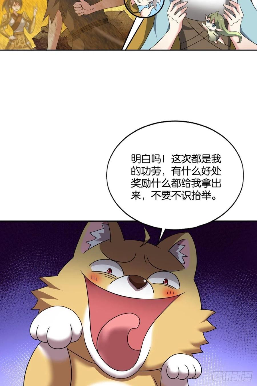 帷幕渐开17