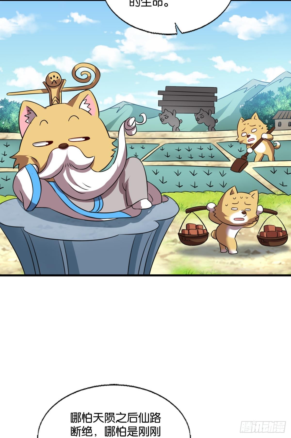 啊……这合理吗？9