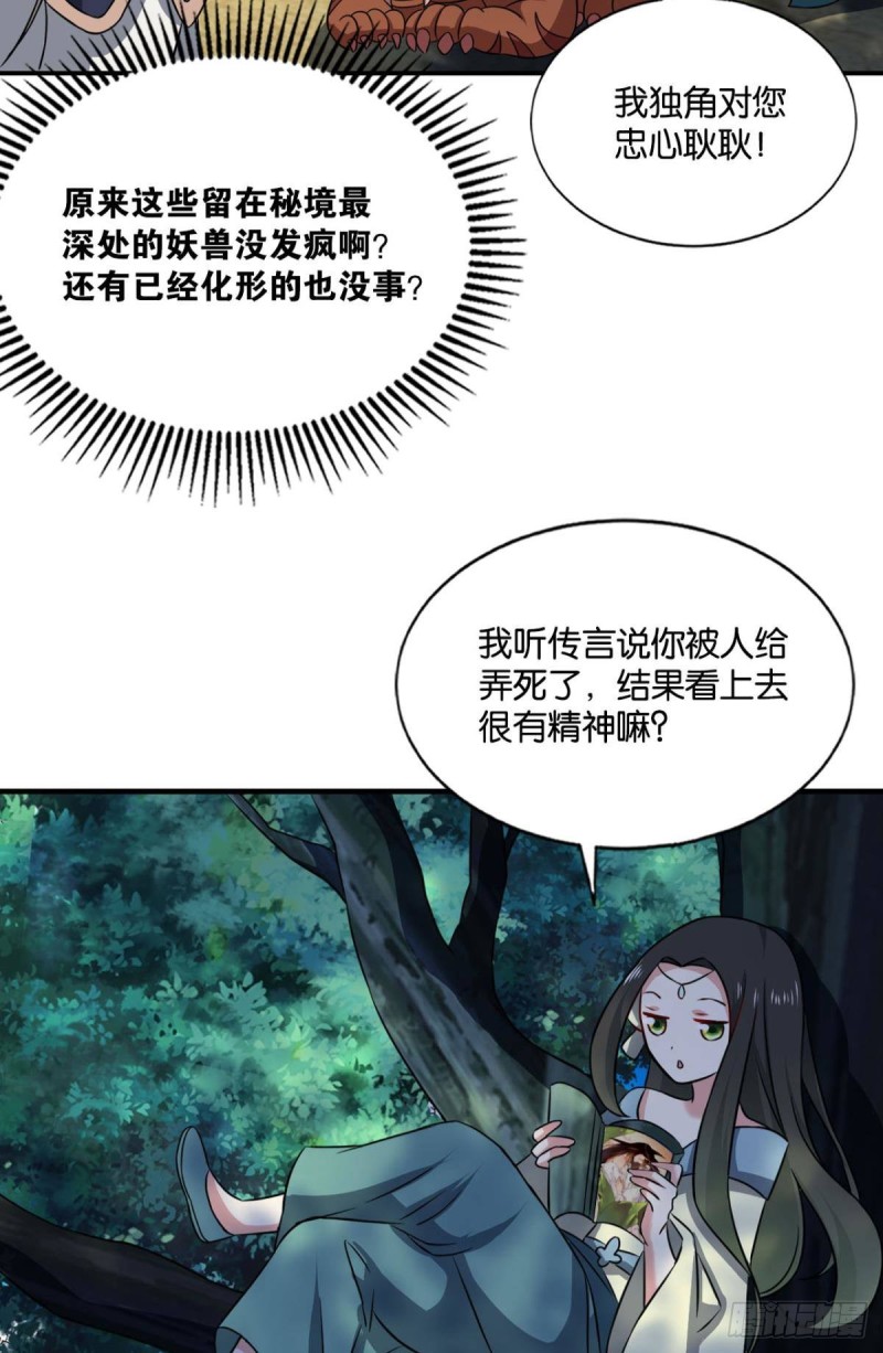 我於三日斩飞花51