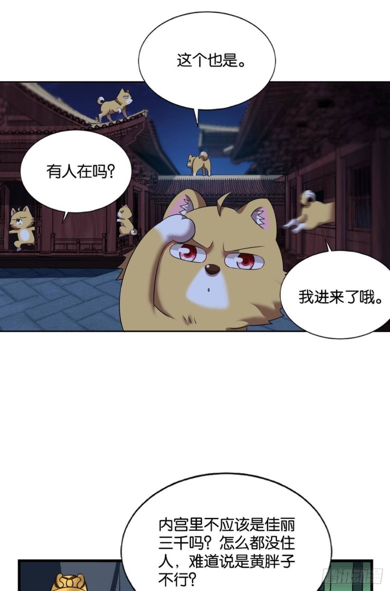 贼不走空9