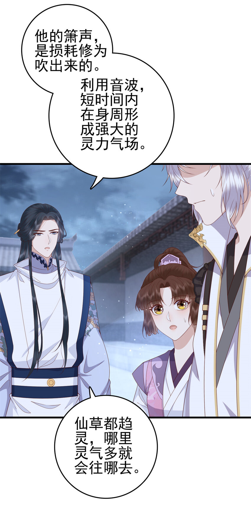 051 赤焰红槿22