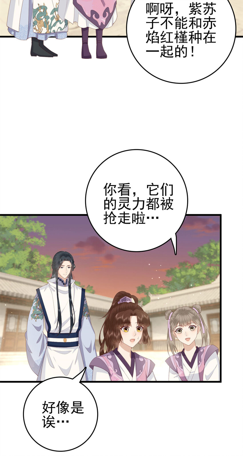 053 虞家大小姐5