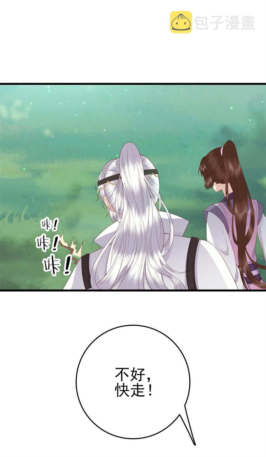 051 赤焰红槿7