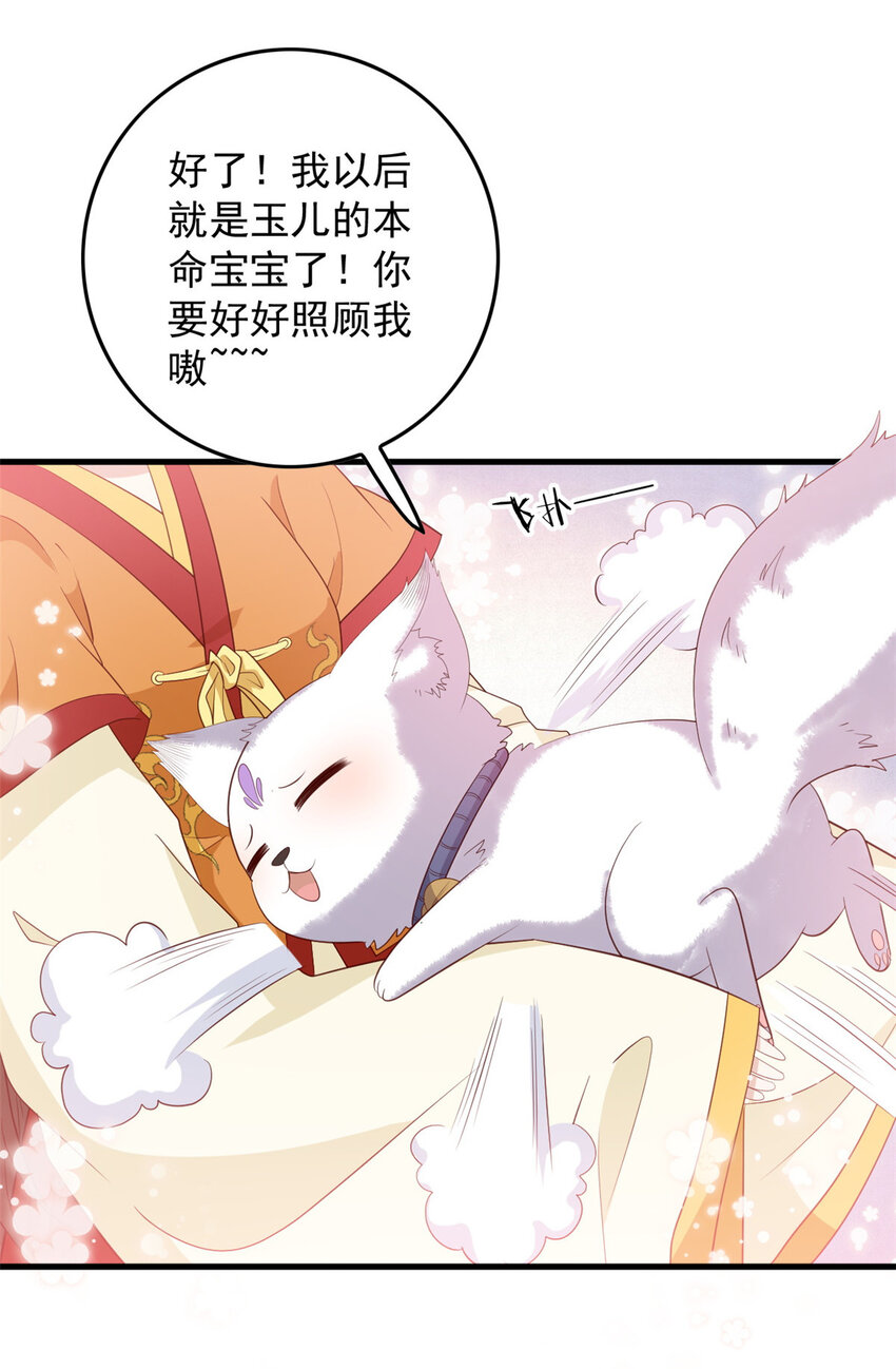 102 本命灵宠29