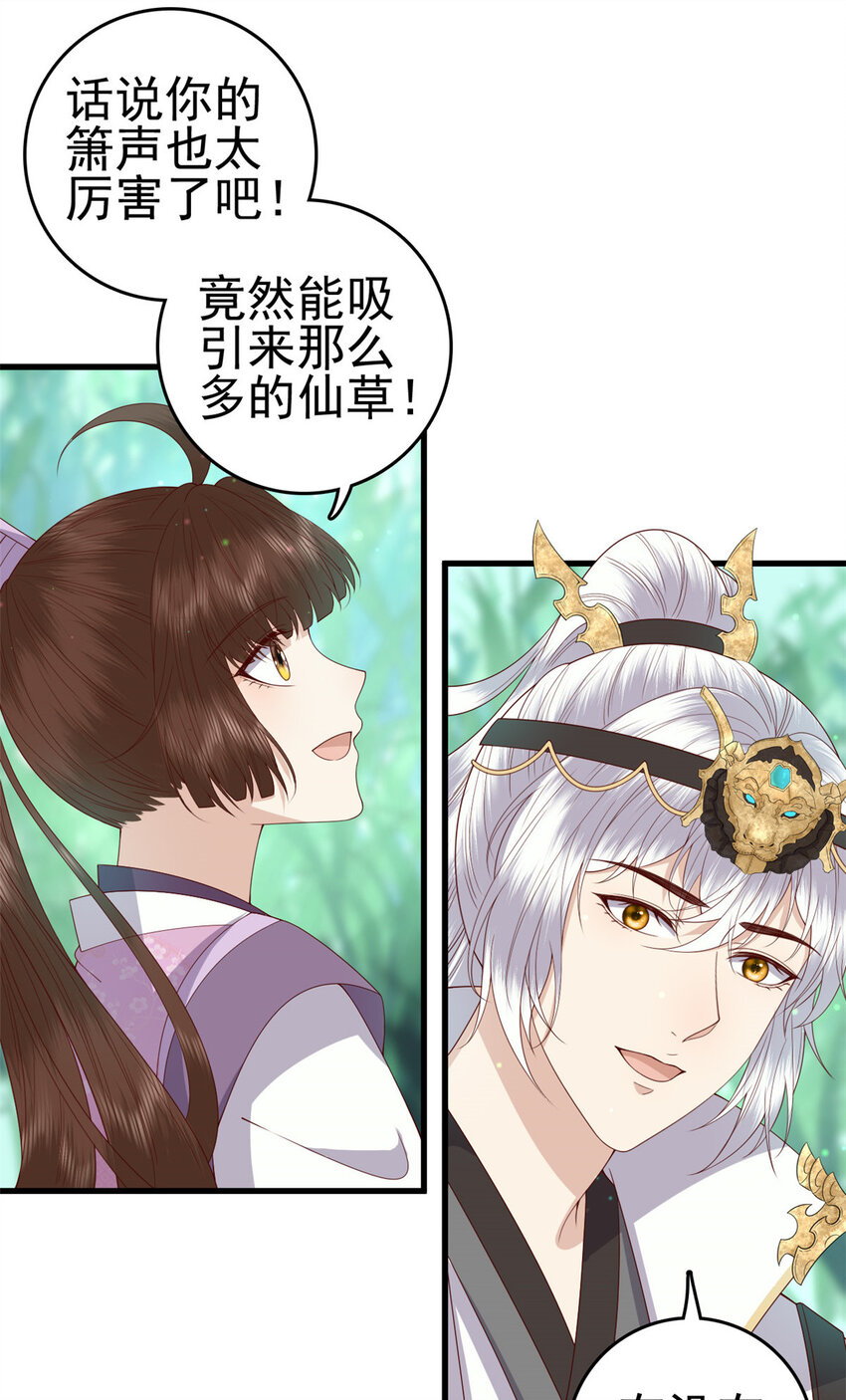 051 赤焰红槿12