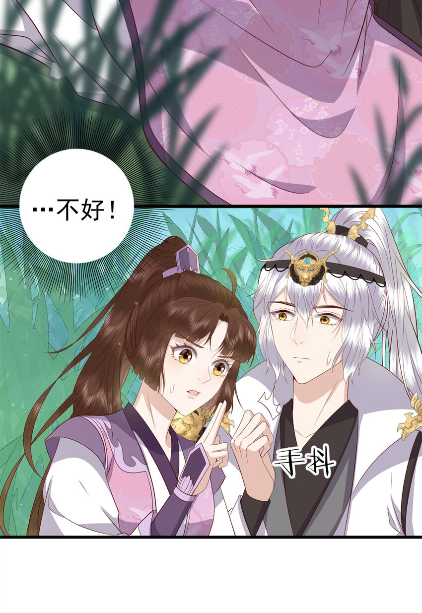 050 月溪谷仙草21