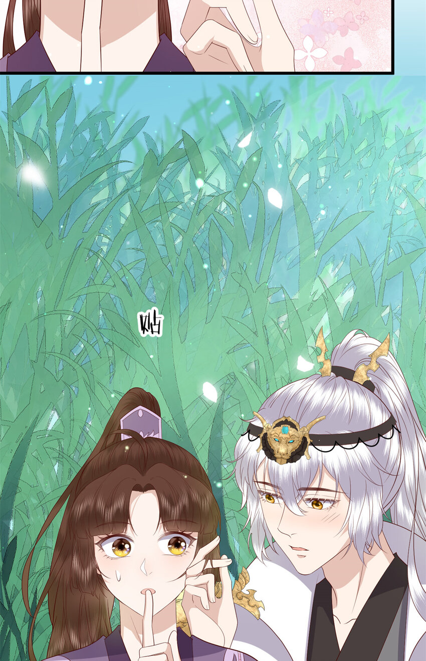 050 月溪谷仙草19