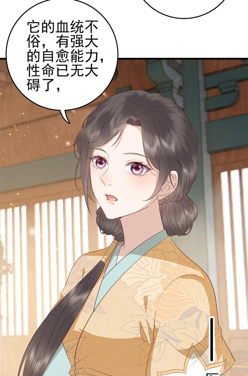 088 你是不是人傻钱多15