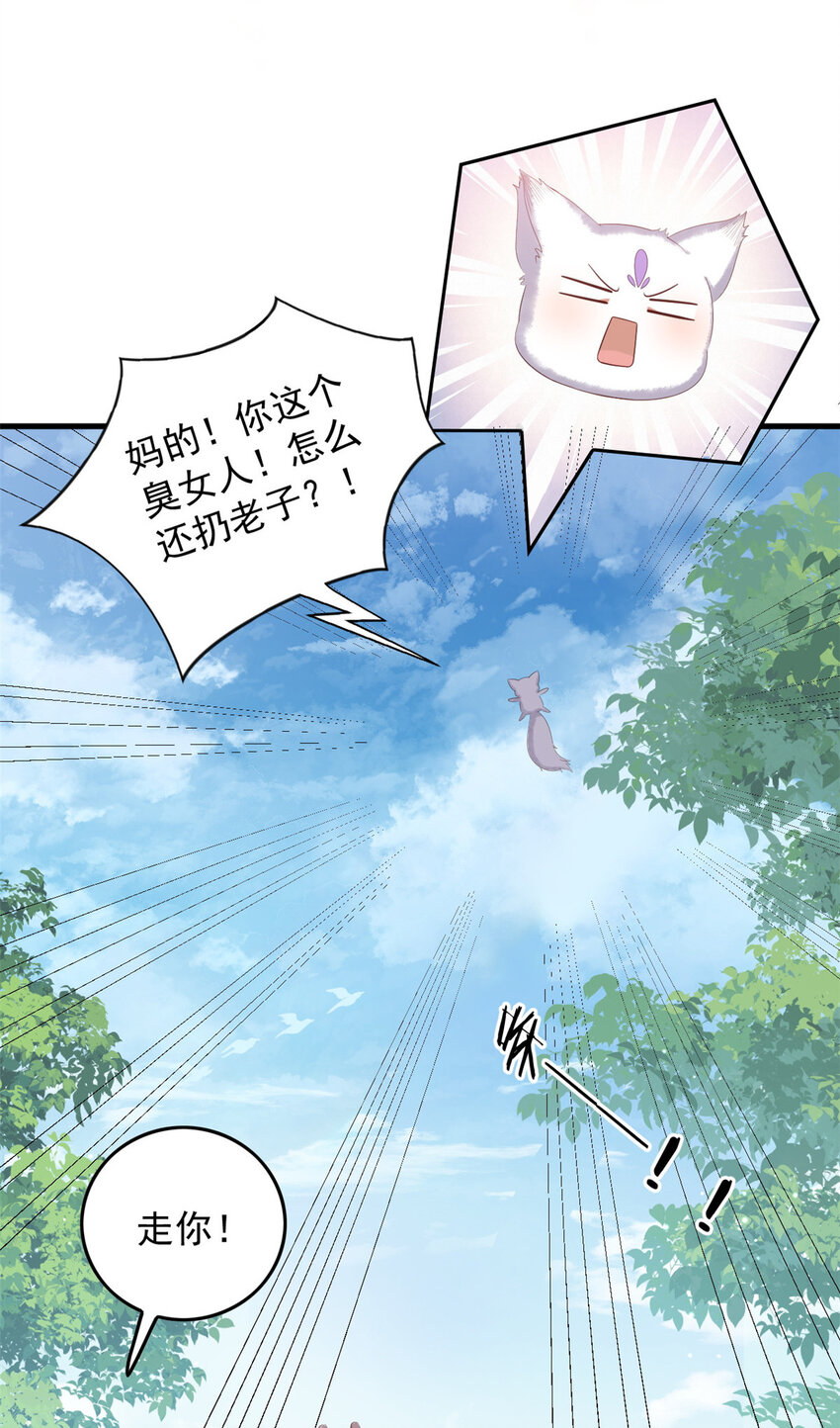 102 本命灵宠30