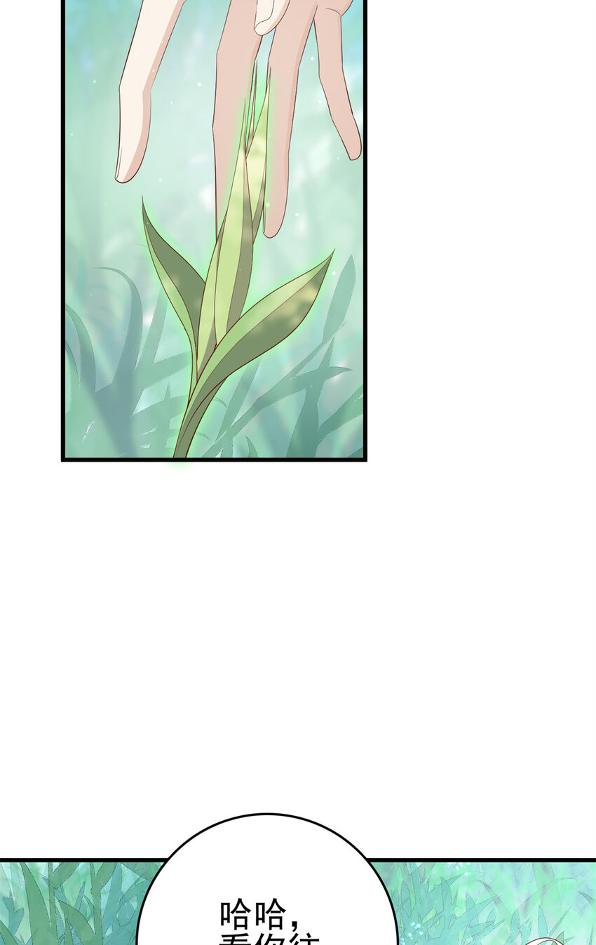 050 月溪谷仙草8
