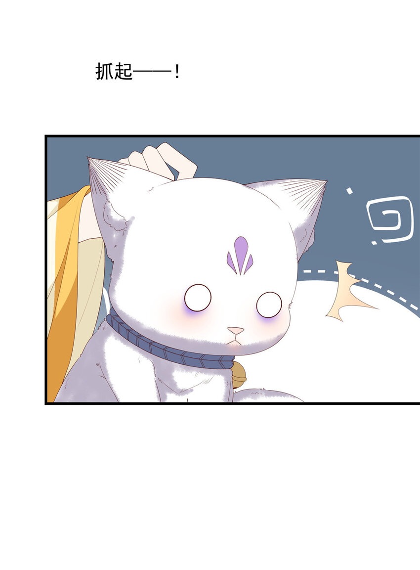 101 不敢要的宠物8