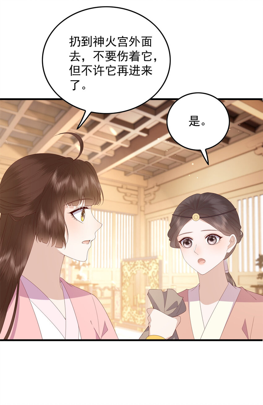 095 不要跟蝙蝠做朋友18