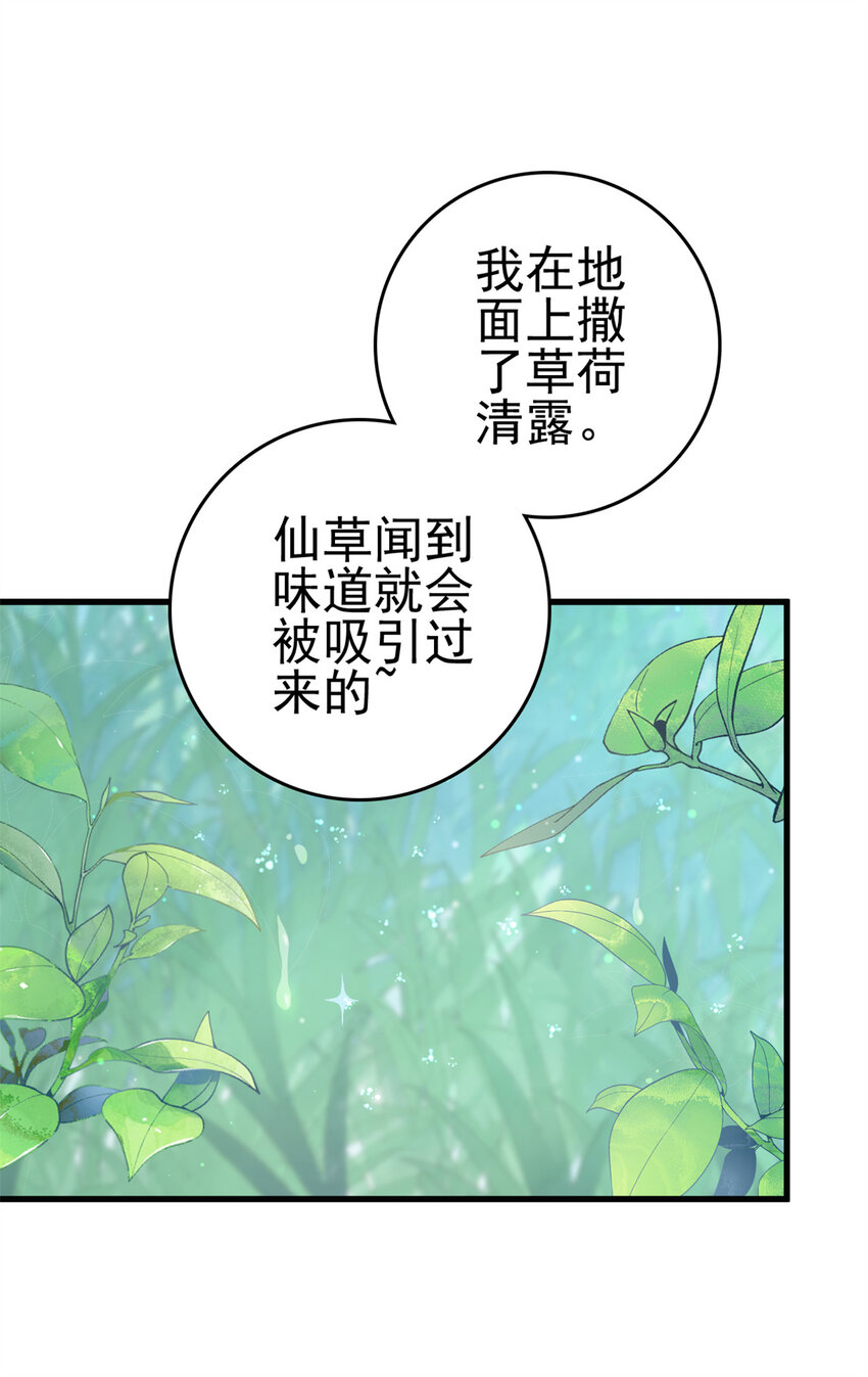 050 月溪谷仙草4
