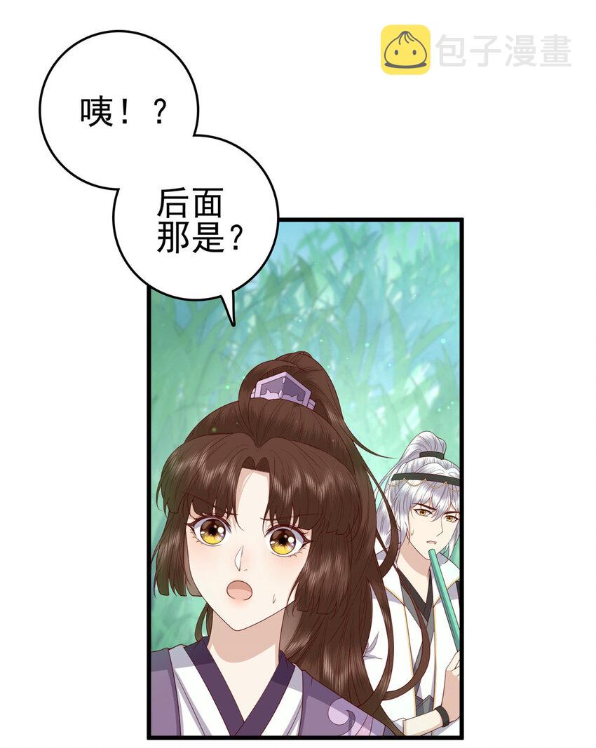 051 赤焰红槿2