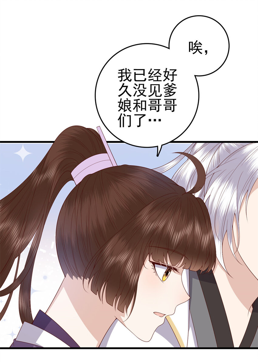 051 赤焰红槿16