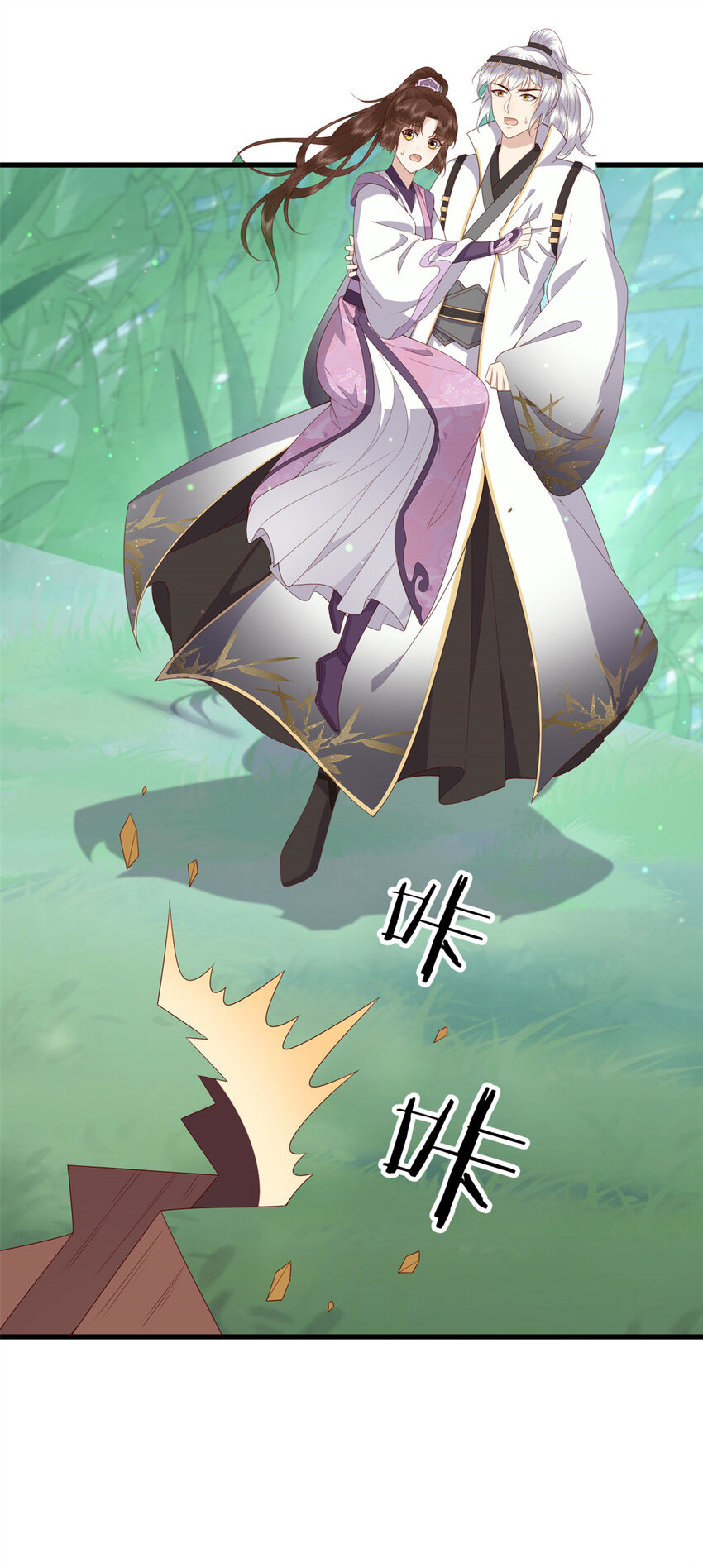 051 赤焰红槿8