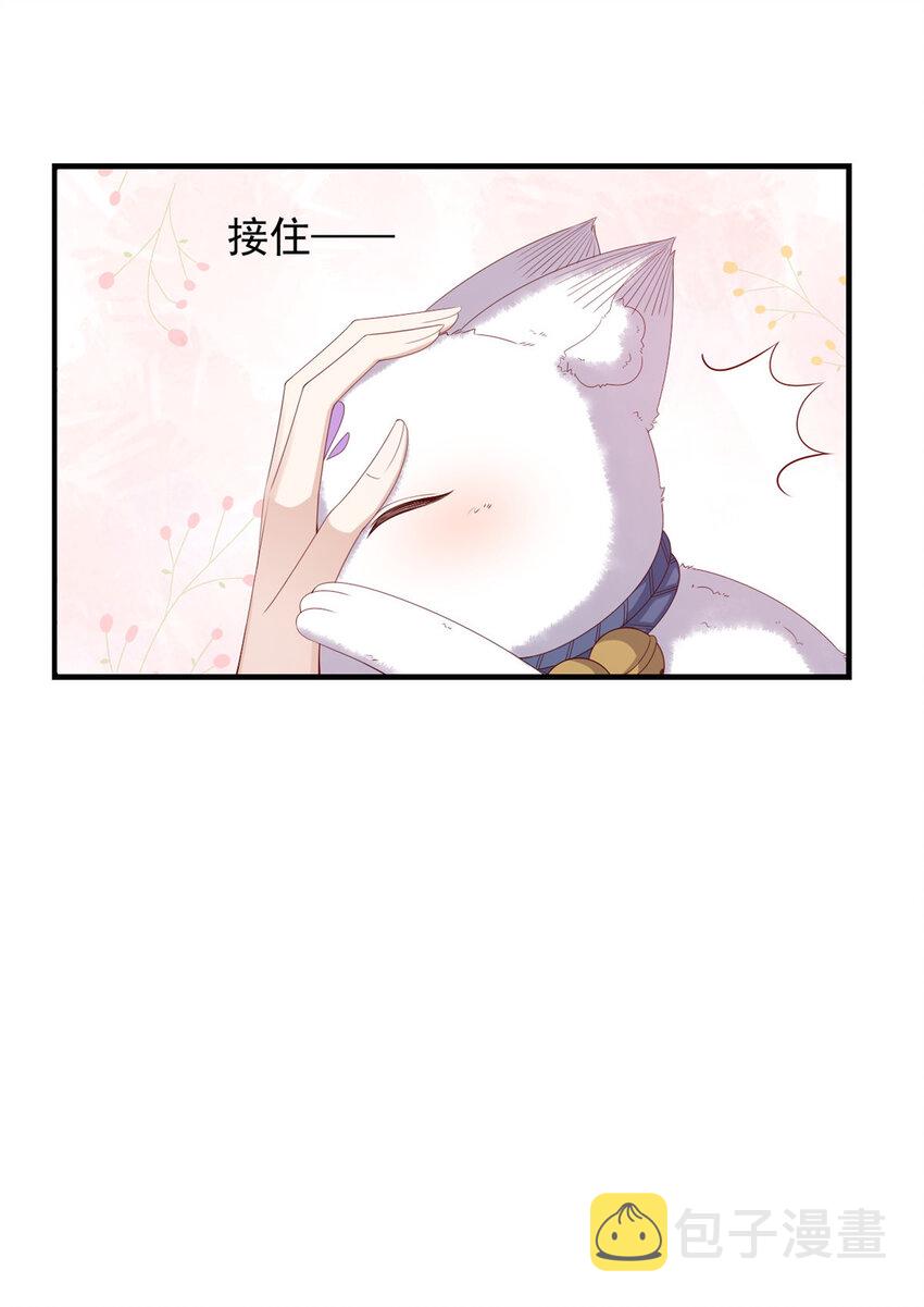 101 不敢要的宠物34