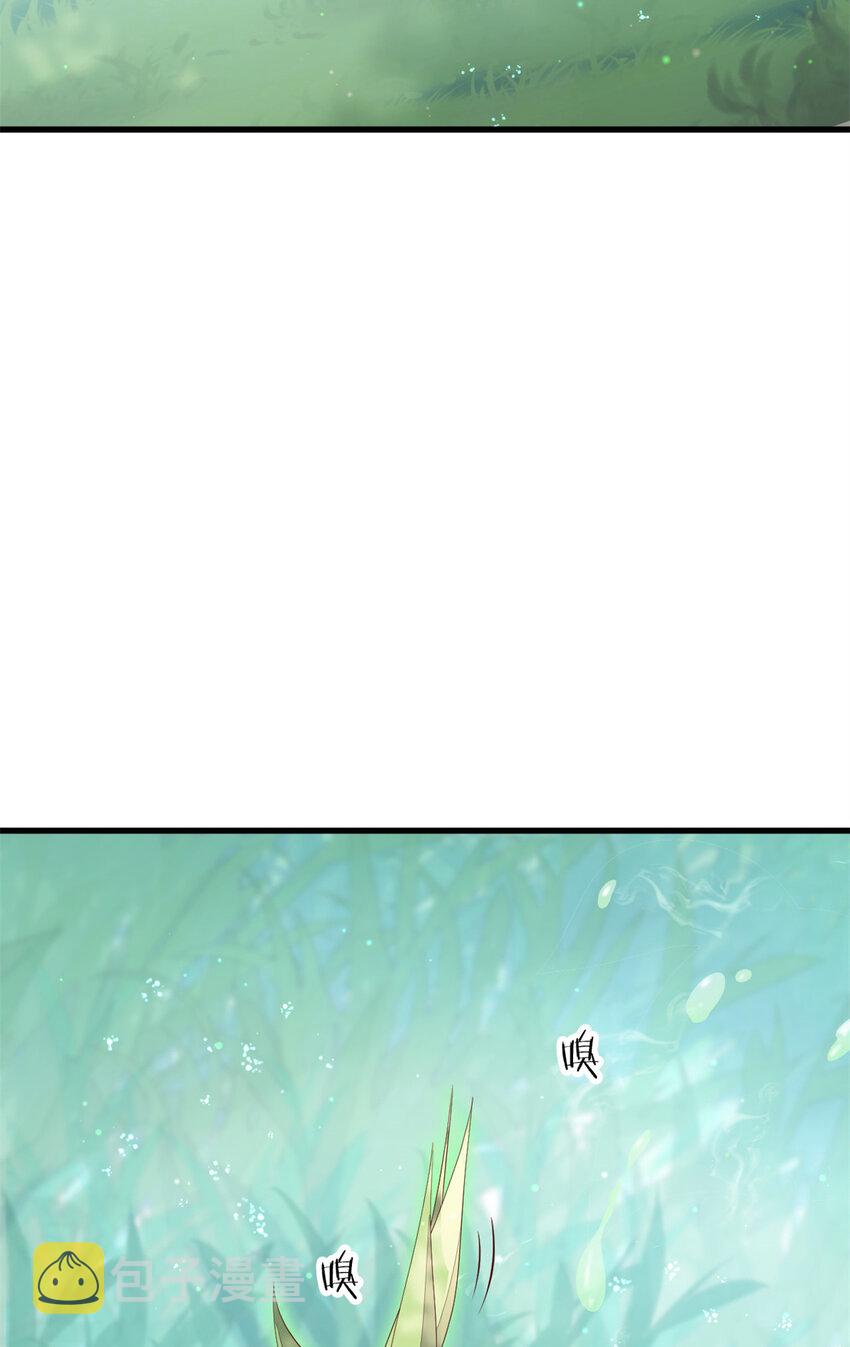 050 月溪谷仙草6