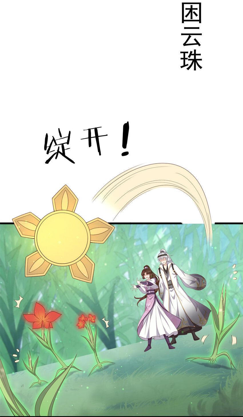 051 赤焰红槿5