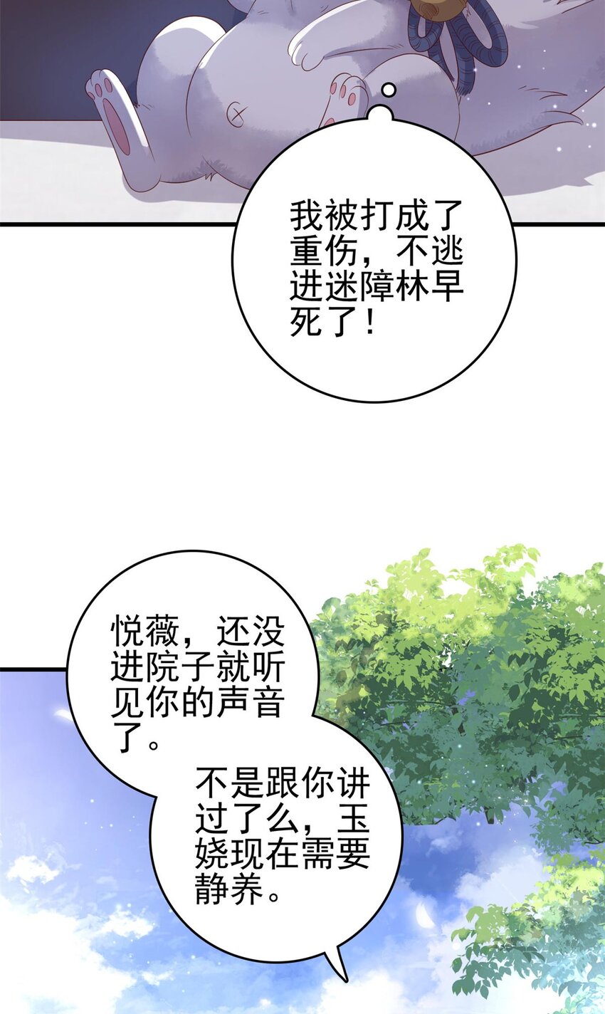 088 你是不是人傻钱多33