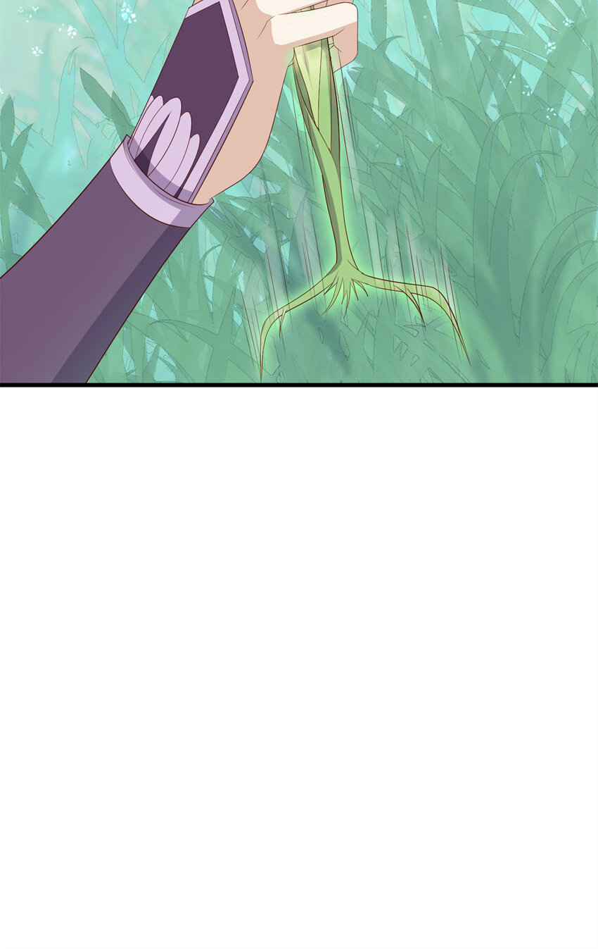 050 月溪谷仙草11