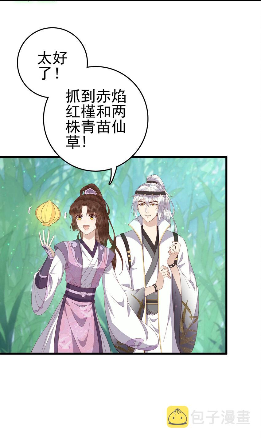 051 赤焰红槿6