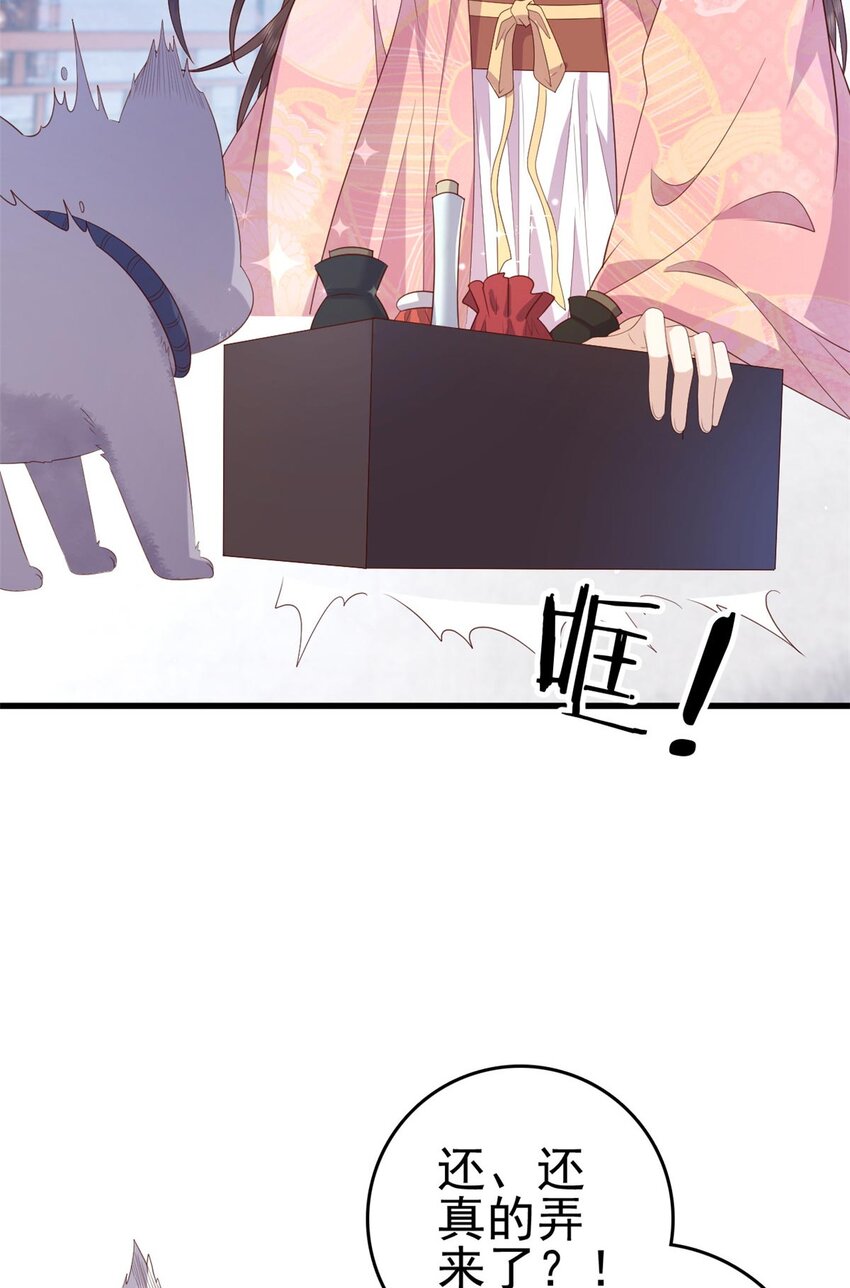 088 你是不是人傻钱多19