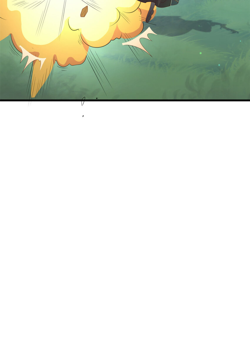051 赤焰红槿10