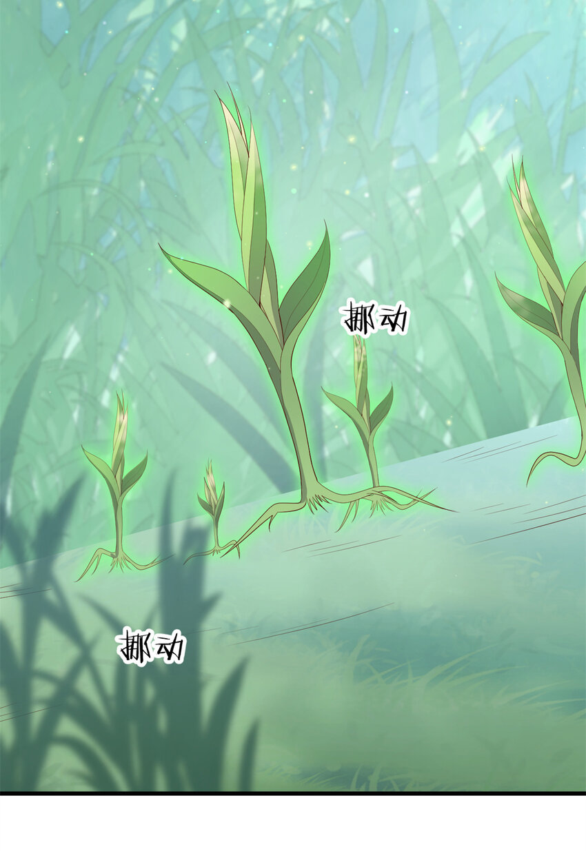 050 月溪谷仙草34