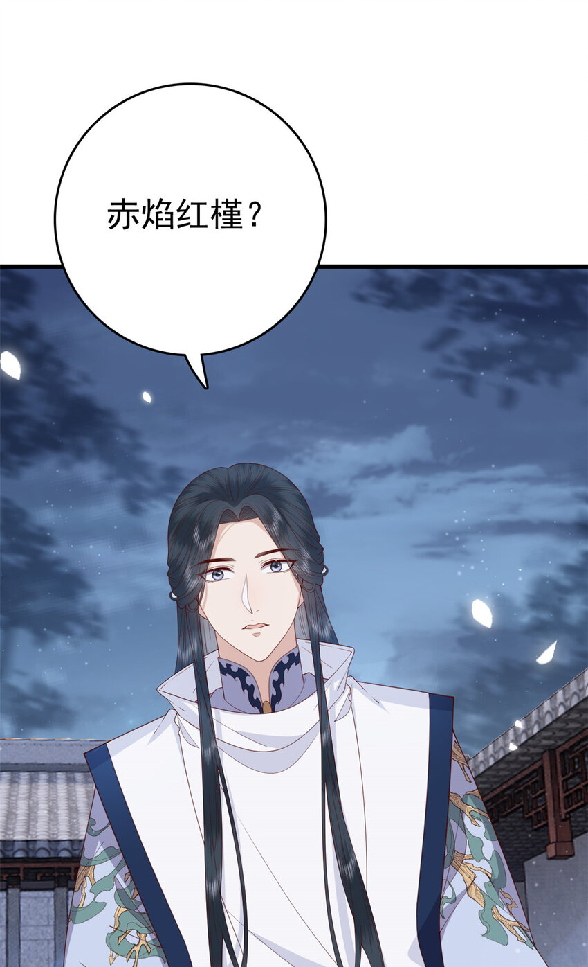 051 赤焰红槿19