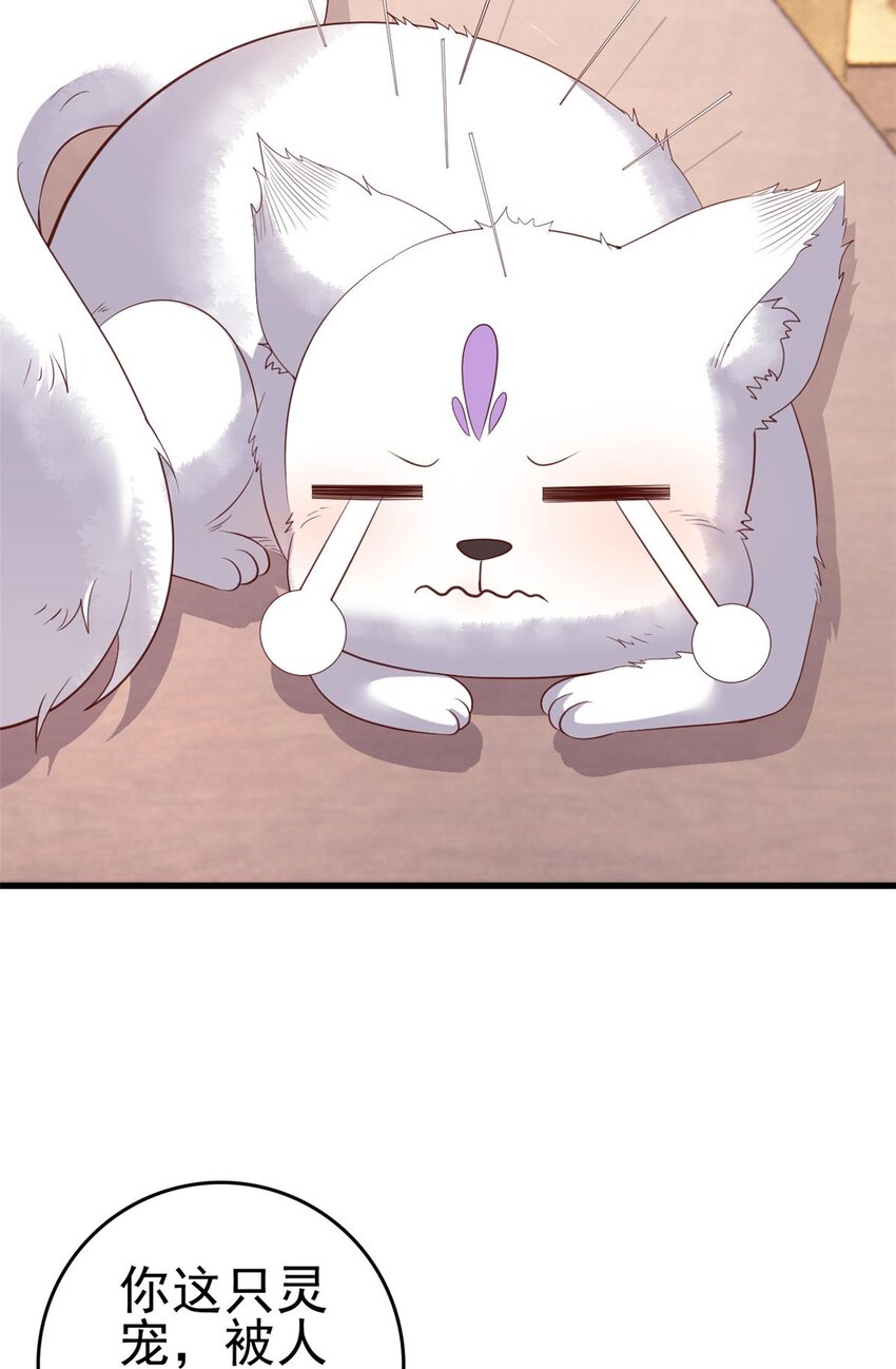 088 你是不是人傻钱多13