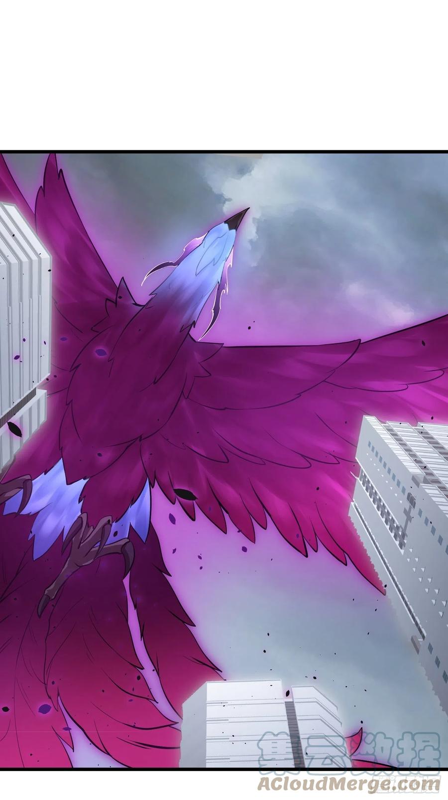 第165话 凤凰背上玩的花22
