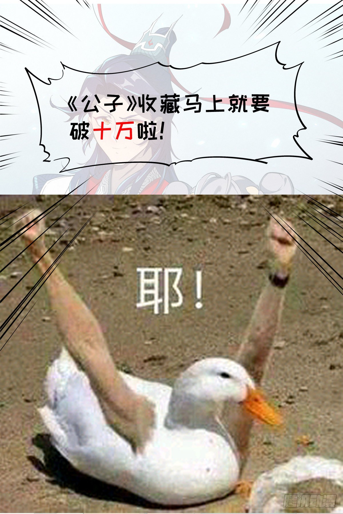 019 罗爷的儿子17