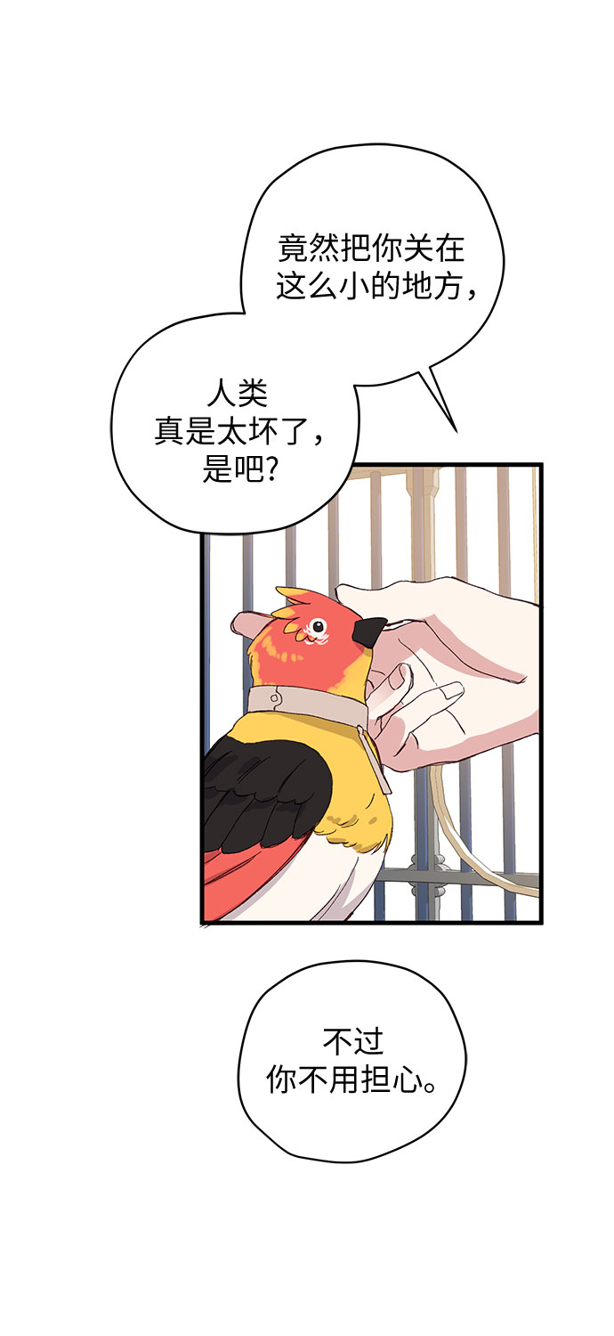 第1话36