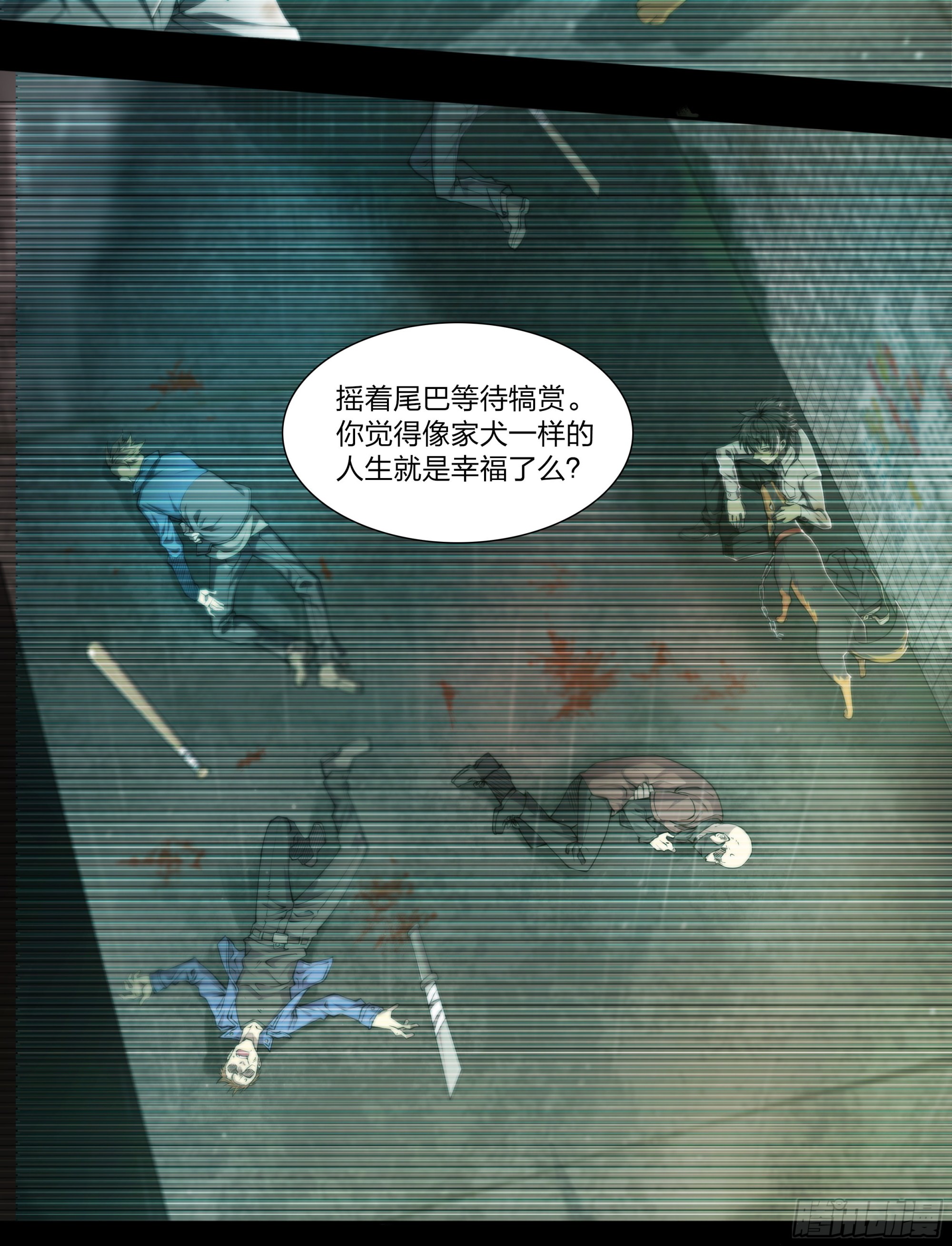 54 狼中哈士奇27