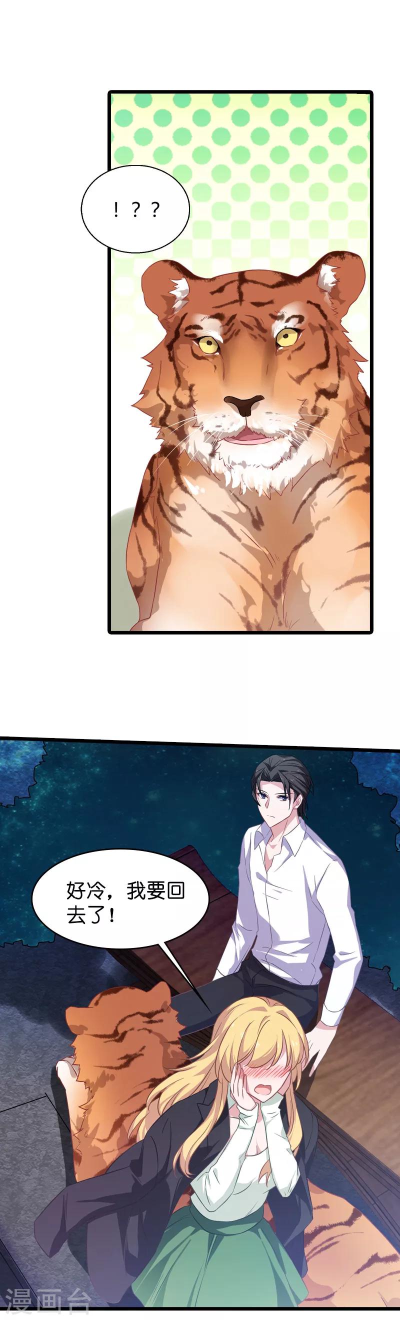第32话 撸猫技巧10