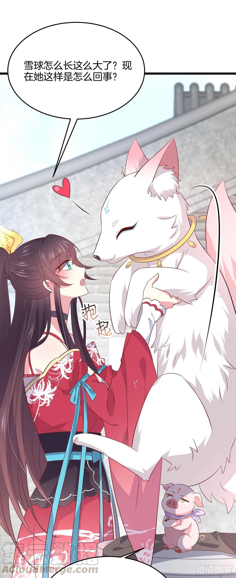 第一百九十八话 雪球回来啦6
