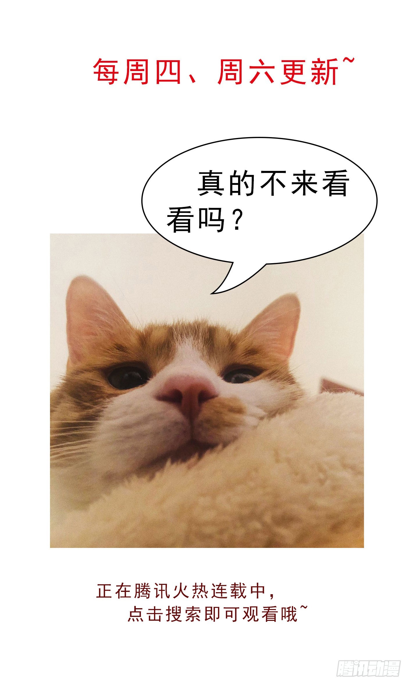 活动通知5