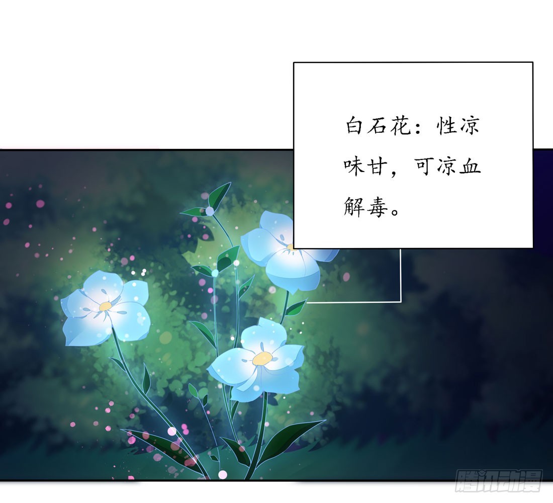 第八话 到底爲什麽追我？2