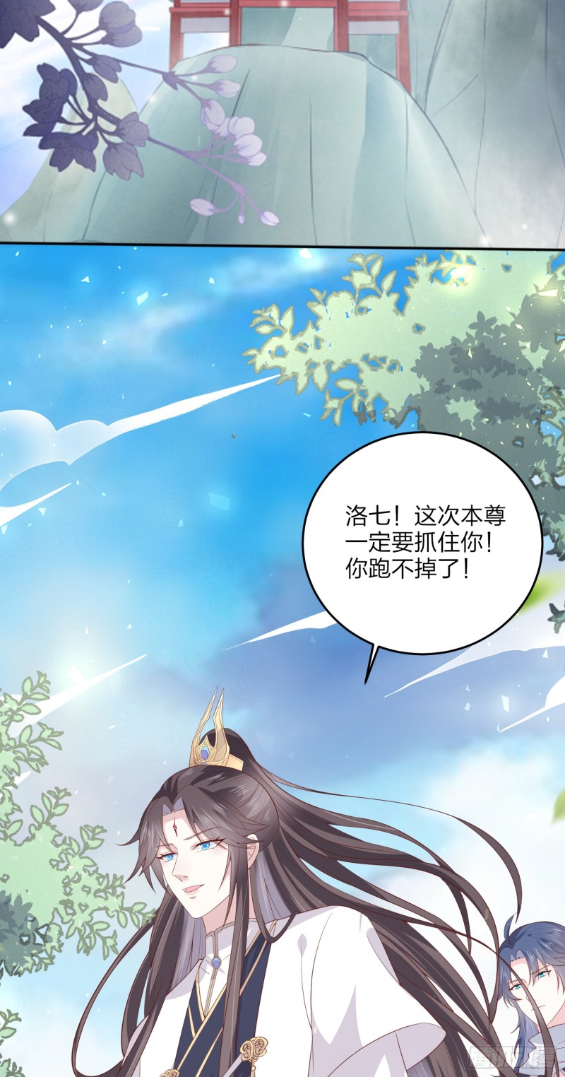第一百六十四话 追妻3
