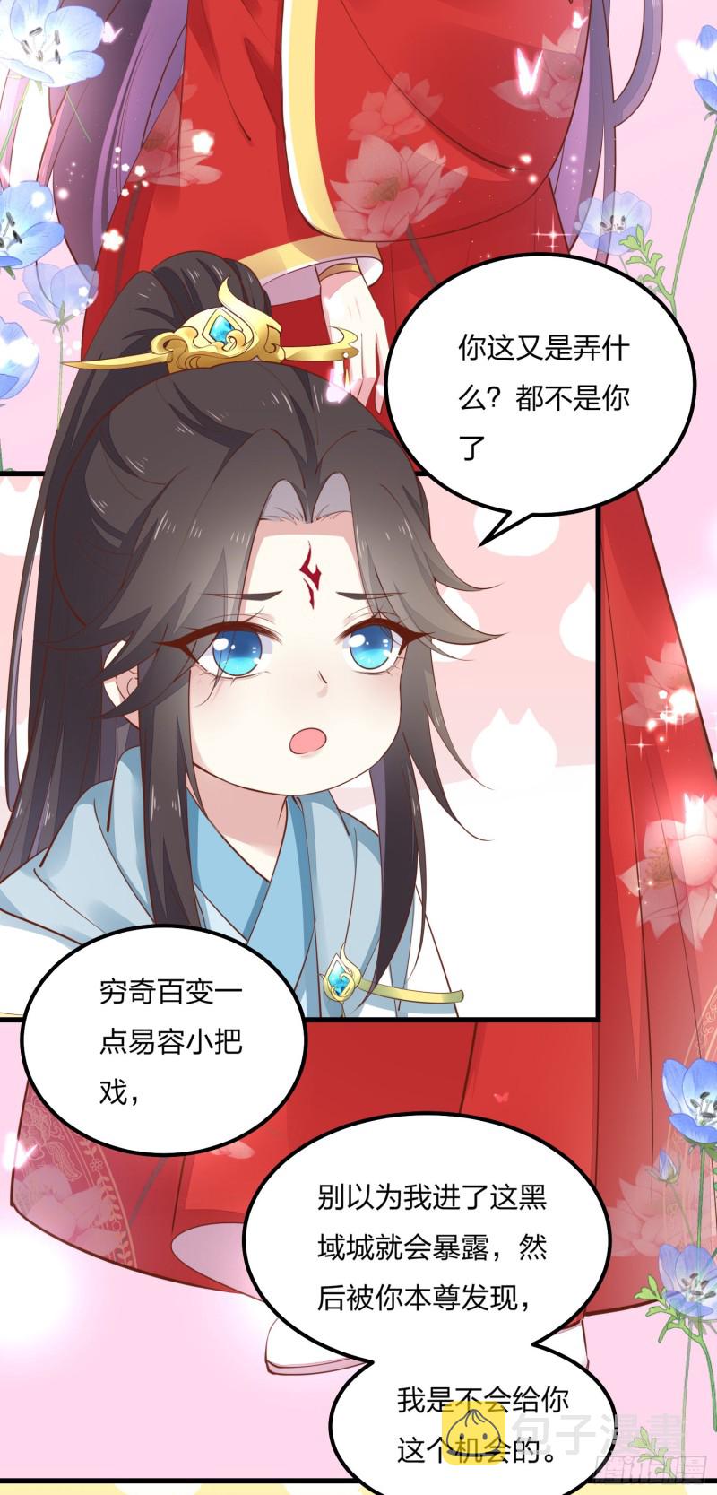 第一百二十五话 袖珍尊主大人3