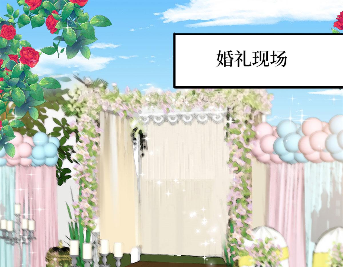 第204话 婚礼4