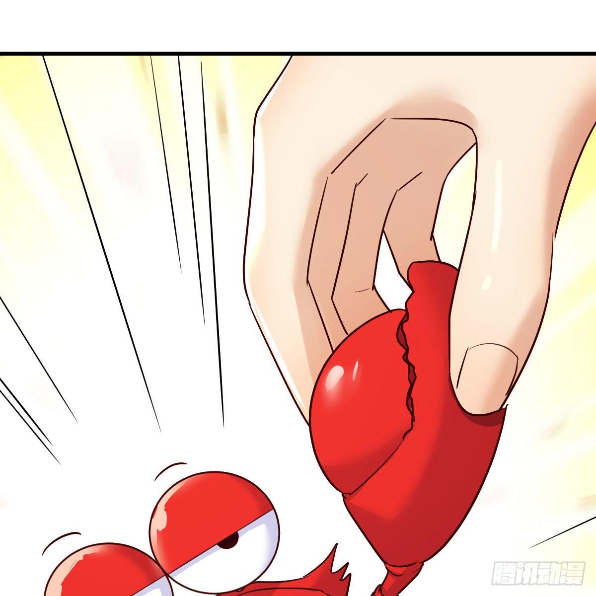 老规矩26